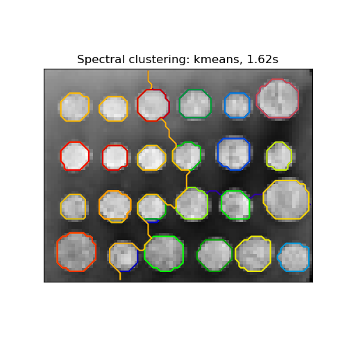 Spectral clustering: kmeans, 1.62s